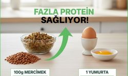 Yumurta, balık ve peyniri solladı! En sağlıklı protein kaynağı açıklandı