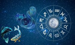 Zıt kutupların çekici dengesi: Balık ve Kova burcu uyumu