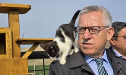 Yozgat Belediye Başkanı Kazım Arslan: Makam odasında kedilerle birlikte çalışıyor