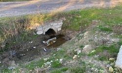 Boş arazide yeni doğmuş bebek cesedi bulundu!