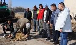 Bünyan Hazerşah'ta asfalt döküldü kurban kesildi: Başkan Metin çalışmaları yerinde inceledi
