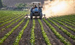 Tarımsal destekler için son gün yaklaşıyor: ÇKS başvurularında önemli detaylar