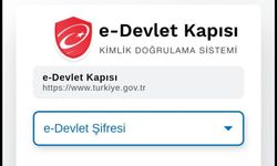 Sabah saatlerinden beri erişilemiyor: E-Devlet neden açılmıyor?