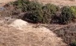 Film Gibi Kovalamaca: Firari Hükümlü kaçtı, polisler peşine düştü