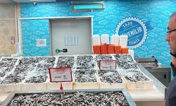 Kayseri’de 3 kat daha pahalı! Hamsi fiyatı Kayserili vatandaşı şaşkına çevirdi