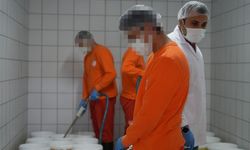 Hükümlüler üretiyor: Kayseri’ye süt ürünleri tedarik ediliyor