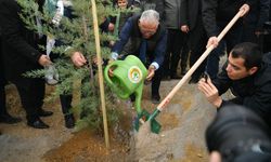 Yeşil Vatan vurgusu dikkat çekti: Kayseri’de yüzbinlerce fidan toprakla buluşuyor
