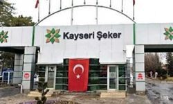 Kayseri Şeker Kotası Kaç Ton? Şeker Kotaları Belli Oldu!