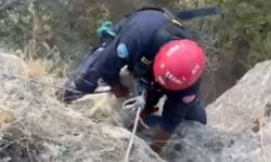 Kayseri itfaiyesi uçuruma düşen keçiyi kurtardı