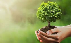 Kayseri Kocasinan'da fidan dikimi:Türkiye'ye nefes ol kampanyası devam ediyor!