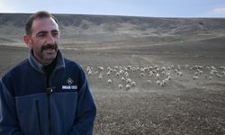 Kayseri Büyükşehir Belediyesi projesinden ilk meyvesini aldı: 20’den 150’ye çıkardı!