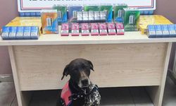 Kayseri-Malatya karayolunda iki tırdan kaçak ürün bulundu!