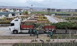 Kocasinan’da 2026 ağaçlandırma hamlesi: Yeni fidanlar sahaya iniyor!