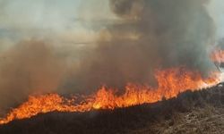 Konya Beyşehir'de iki farklı sazlık alev alev yandı!