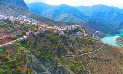 Kayseri'de aşiretin kurduğu mahalleye gelenler hayran kalıyor!