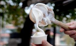 Ünlü dondurma markasında skandal! Dışkı bakterisi tespit edildi