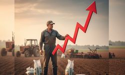 Tarlada Yangın Var: Çiftçinin girdi maliyeti  zirveyi gördü