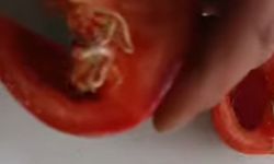 Niğde'de pazardan alınan domatesin içinden çıkan şey şok etti