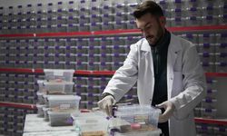 Niğdeli İhsan Nacar akrep zehrini dünyaya satıyor!