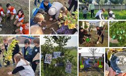 Öğrenciler 81 ilde 'Yeşil Vatan' için fidan dikti