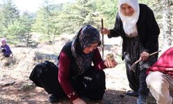 Kilosu etle yarışıyor: Japonya ve Güney Kore’den bile talep geldi!