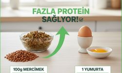 Yumurta, balık ve peyniri solladı! En sağlıklı protein kaynağı açıklandı