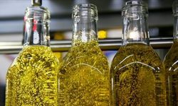 Aman dikkat! Bakanlık sahte zeytinyağı markalarını ifşa etti