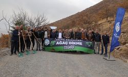 Talas Belediyesi'nden Ali Dağı'nın zirvesine 1111 fidan