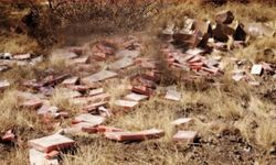 Tıbbi atıkları yol kenarına bırakan şahıs yakalandı