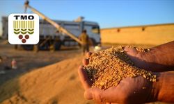 TMO'nun 2026 alım hedefini açıkladı: Buğday ve şeker pancarı alımı ne kadar olacak?
