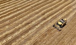 Veriler açıklandı: Kayseri tarım alanında kaçıncı sırada?