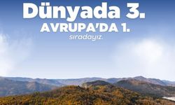 Türkiye Avrupa'yı solladı: Dünyada 3. sırada