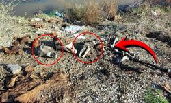 Adana’da dere kenarına kesilmiş at-eşek kafası ve parçaları atıldı!