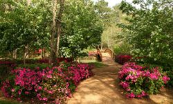 Psikolojiye Göre Mutlu İnsanların En Sık Tercih Ettiği Renkler Ortaya Çıktı