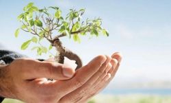 Çevre için rekor bütçe: Harcamalar ikiye katlandı