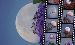 Çiçeklerle Ay’ı buluşturdu: Kayserili gökyüzü fotoğrafçısı Betül Türksoy’un eserleri görenleri etkiledi