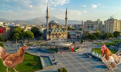 Cumhuriyet Meydanı’nda titiz denetim: Hedefte tavuklar vardı!