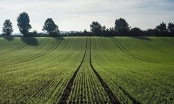 Kayseri’ye 130 km uzaklıkta tarla satışta: Başvurular başladı!