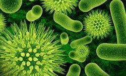 Evde herkesin kullandığı bu ürün bakterileri yayabiliyor