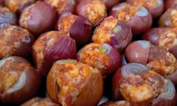 Kayseri soğuklarına Gaziantep’ten şifalı bir dokunuş!