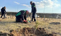 Kayseri yeşile büründü! Binlerce fidan toprakla buluştu