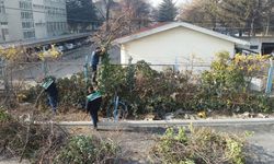 Kayseri'de yeşil dönüşüm başladı: Ana caddeler ve resmi kurumlar yeni görünüme kavuşacak