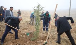 Ağcaşar Barajı yeşile bürünüyor: Yahyalı’da 1000 fidanla çevre seferberliği
