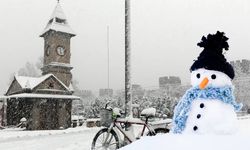 Kayseri’de pastırmalı sucuklu kardan adam görenleri şaşırttı!