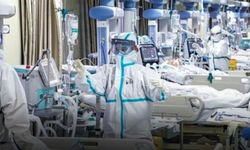 Avrupa’yı saran virüs için uzmandan uyarı: “Türkiye’ye girmesi an meselesi”