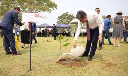 Bakan Yumaklı: 517 milyon fidan ve tohum toprakla buluştu