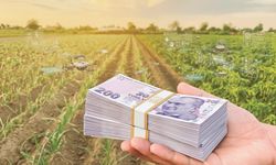 Gençlere ve kadınlara dev bütçe: Tarımda yüzde 70’e varan hibe dönemi başlıyor