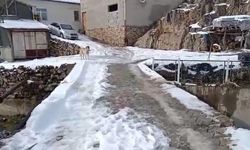 Develi’de mahalleli tehlikeli köprüye çözüm istiyor