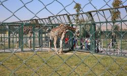 7’den 77’ye yoğun ilgi gördü! Kayseri’de 420 bini aşkın ziyaretçiye ev sahipliği yaptı