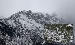 Kayseri Aladağlar’da nefes kesen değişim! Dron kamerasına böyle yansıdı